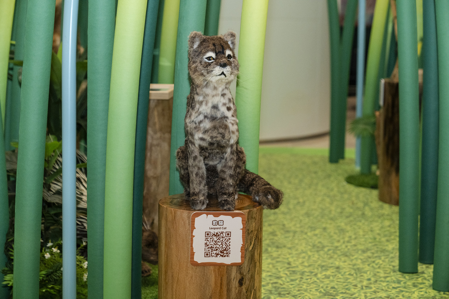 野外生態學堂還有一些仿真野生動物模型。
