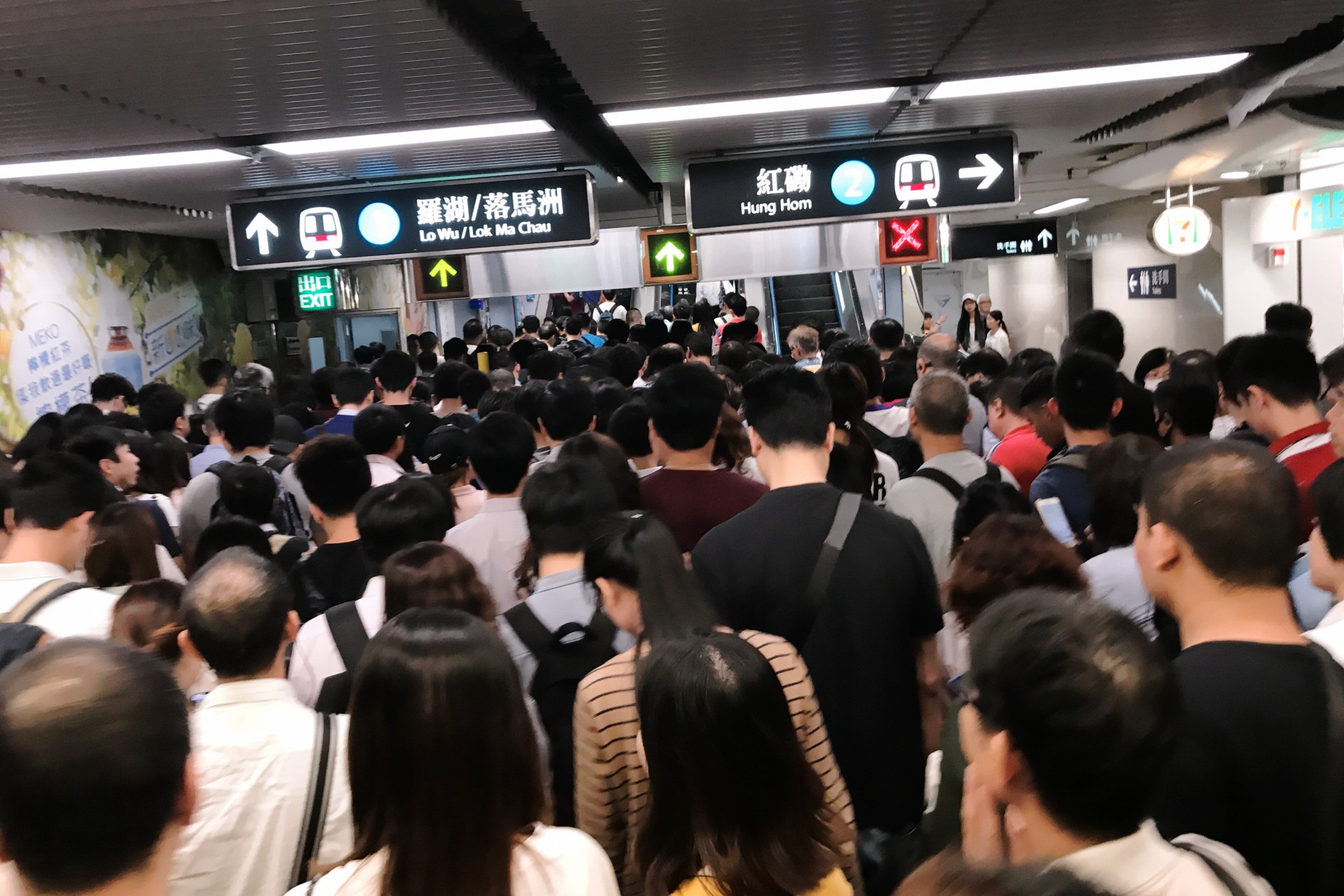 2018年，總計訪港旅客人次逾6500萬，當中內地旅客佔高達78.3%，以「自由行」形式訪港的內地旅客人次則逾3100萬。（圖片來源：Shutterstock）