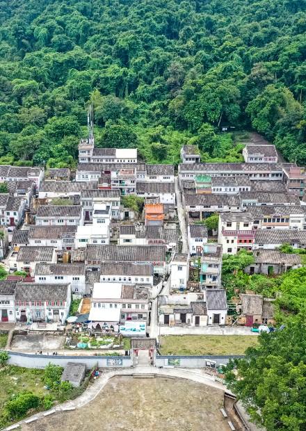 從荔枝窩談禁區旅遊與保育活化